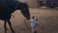One-Year-Old Girl Leads Trusting Horse on Friendly Walk