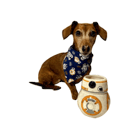 Star Wars Droids Sticker by Geekster Pets