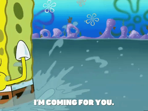 season 5 to love a patty GIF by SpongeBob SquarePants