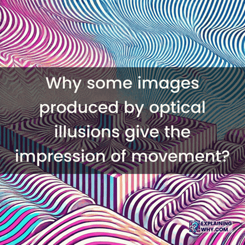 Optical Illusions GIF by ExplainingWhy.com