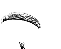 Fly Pilot Sticker by Carinthian Paragliders