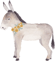 Donkey Catalunya Sticker by zartmintdesign