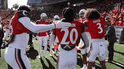 College Football Ncaa GIF by Cincinnati Bearcats