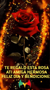 Amigos Brillo GIF by Murcianys LLC