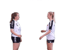 SCUGHandball scu einklatschen scug upfing Sticker