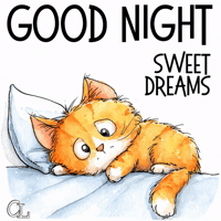 Sleepy Good Night GIF
