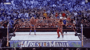 shawn michaels wrestling GIF by WWE