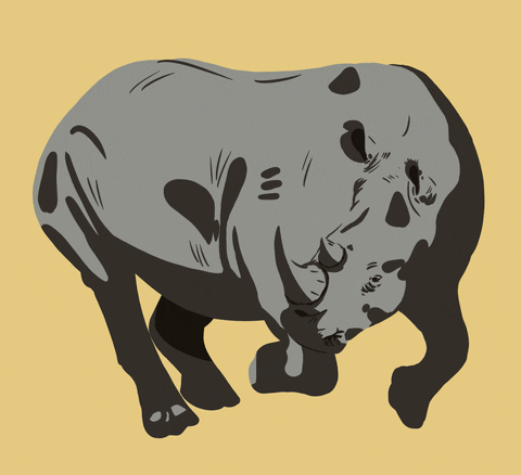 LaPageDeCam giphyupload yellow africa rhino GIF