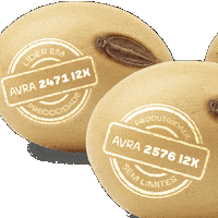 Agro Sticker by Avra Sementes