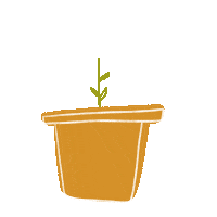 Plant Grow Sticker