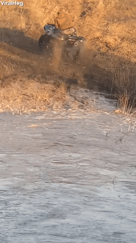 Sudden Stop Sends Man Flying