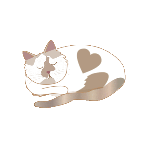 unboundwellness giphyupload cat cute cat stinky Sticker
