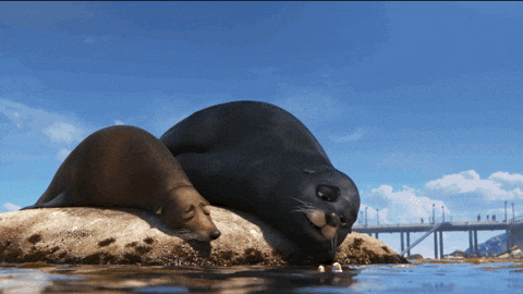 Finding Dory Rock GIF by Disney/Pixar's Finding Dory