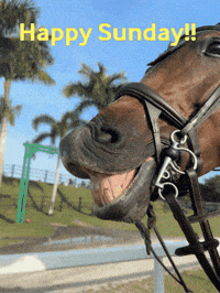 Happy Sunday Smile GIF by Eye Candy Jumpers