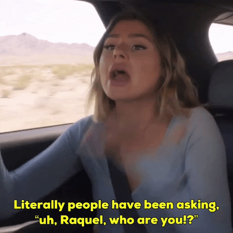 Okay_Decision fake uh vanderpump rules who are you GIF