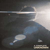 Timothee Chalamet Singer GIF by Searchlight Pictures