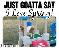 Cute Animals Spring Ahead GIF by Goatta Be Me Goats! Adventures of Java, Toffee, Pumpkin and Cookie!