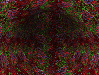 corno GIF by A.M.T.G. G.G.
