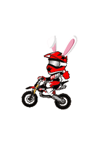 Rabbit Easter Sticker by PITBIKE_PL