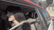 Lets Go Lol GIF by G2 Esports