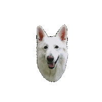 Puppy Love Sticker
