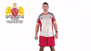 CaseySouthMelbourneCC swans csmcc caseysouthswans GIF