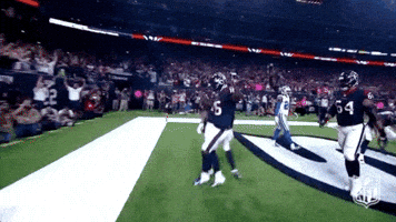 2018 nfl football GIF by NFL