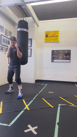 quinitboxing giphyupload GIF
