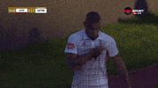 the beast love GIF by CSKA Sofia FC