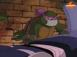 Tmnt GIF by Teenage Mutant Ninja Turtles