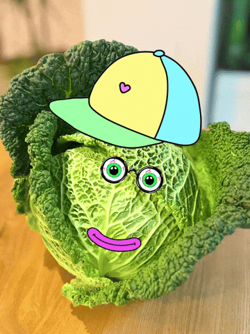 Cabbage Wirsing GIF
