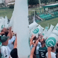 Goiasec GIF