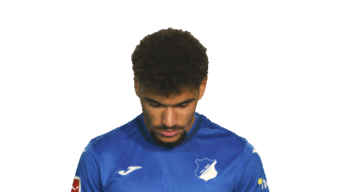 Look Up Tsg Hoffenheim Sticker by Bundesliga