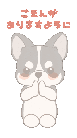 Dog Chihuahua Sticker