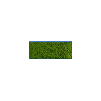 Grass Lawn Sticker by MKM Building Supplies