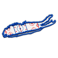 Long Island Sticker by LongIslandHockeyCo