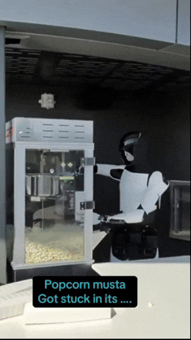 sozinet giphyupload GIF