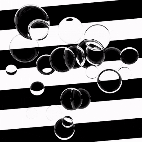 GIF by Shurly