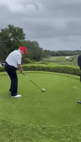 dayeon000 giphyupload GIF