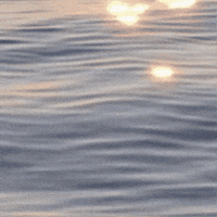 Facial Expression Water GIF