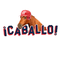 mi sangre mexico Sticker by Aguilas de Mexicali Baseball Club