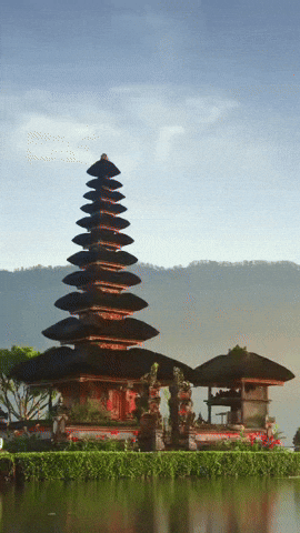 Good Vibes Festival GIF by Global Tara Entertainment