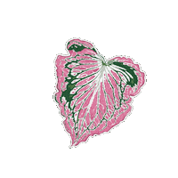 Plant Sticker by Hankō