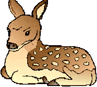 deer STICKER