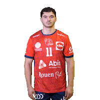 Sport Handball Sticker