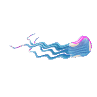 Music Festival Sticker by Baja Beach Fest