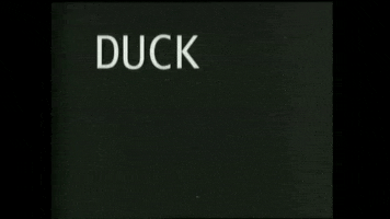 duck and cover message GIF by South Park 