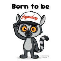 Point Hat GIF by VeeFriends