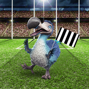 Afl Footy GIF by Dodo Australia
