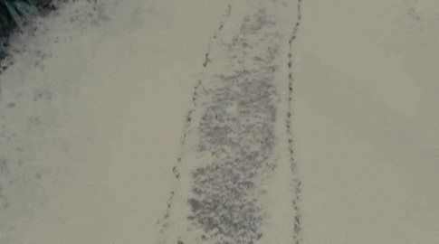 winter holidays snow GIF
